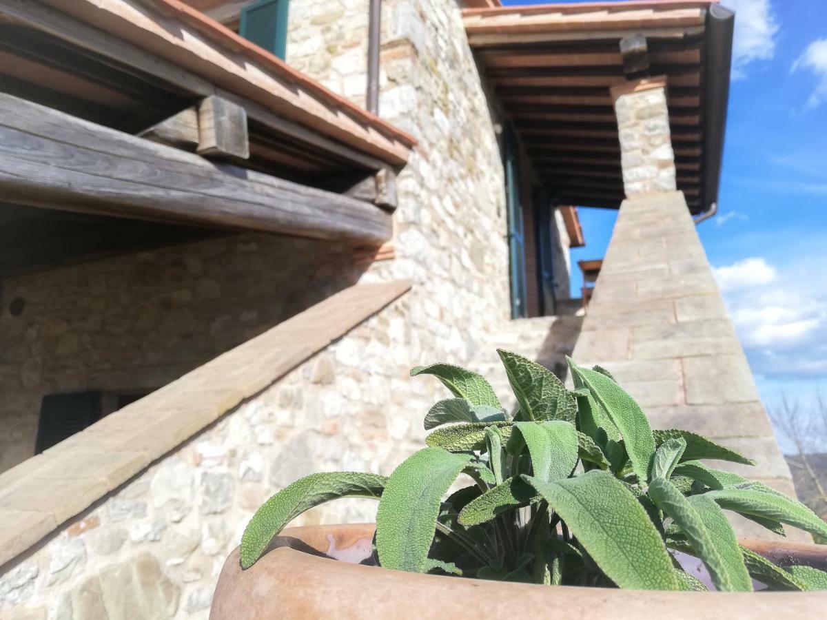 La Coccinella Apartment San Venanzo ภายนอก รูปภาพ